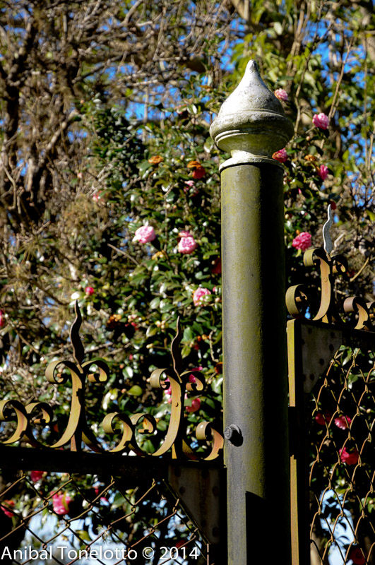 DSC_4576.jpg