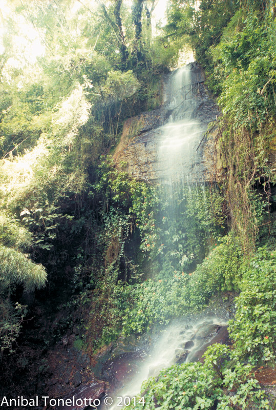B030201216.jpg